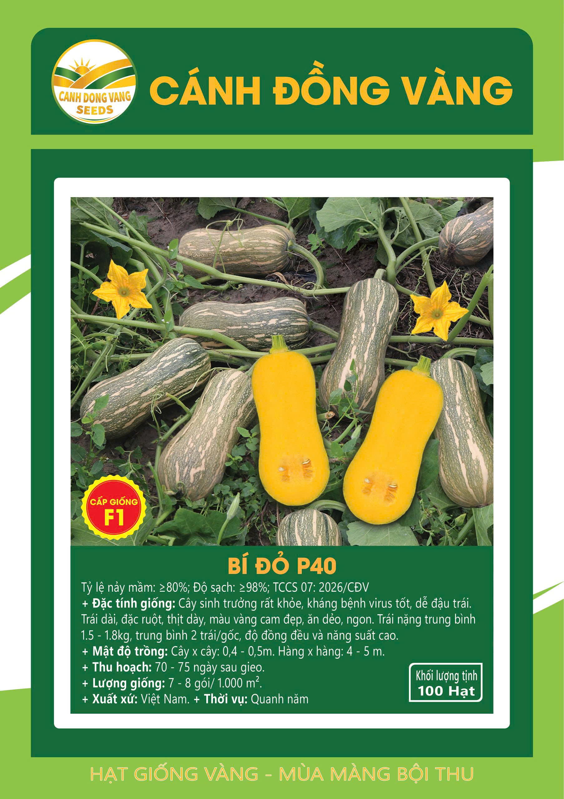 BÍ ĐỎ P40